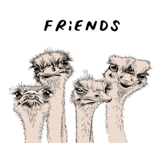Four Funny Ostriches. Friends Sticker
