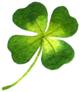 Four-leaf Clover Watercolor Illustration Sticker