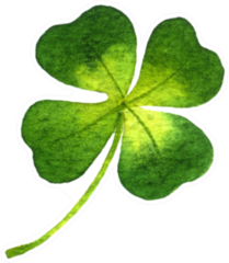 Four-leaf Clover Watercolor Illustration Sticker