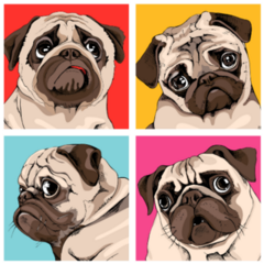 Four Pug Portraits Sticker 
