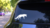 Fox Walking Sticker on a Rear Car Window (New) example