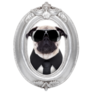 Framed Pug Portrait Sticker