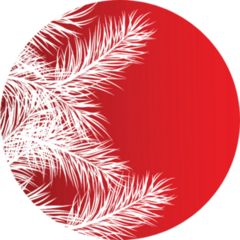 Framework From White Pine Branches Sticker