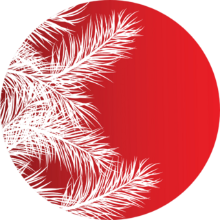 Framework From White Pine Branches Sticker