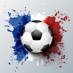 France Flag Soccer Sticker