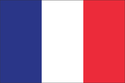 France Flag Sticker