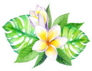 Frangipani Plumeria Flowers With Tropical Monstera Leaves Sticker