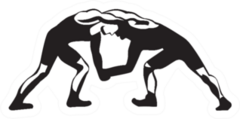 Freestyle Wrestling Icon Sport Sticker