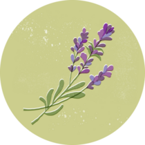 French Blossom Lavender Sticker