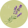 French Blossom Lavender Sticker