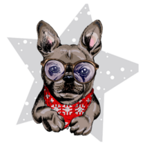 French Bulldog A Star Sticker