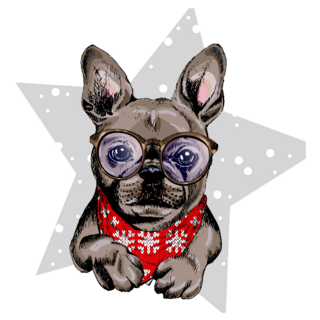 French Bulldog A Star Sticker