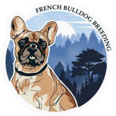 French Bulldog Forrest Sticker