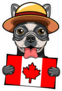 French Bulldog Holding A Canadian Flag Sticker