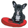 French Bulldog On Cushion Sticker