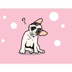 French Bulldog Pink Head Tilt Sticker