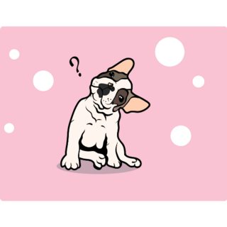 French Bulldog Pink Head Tilt Sticker