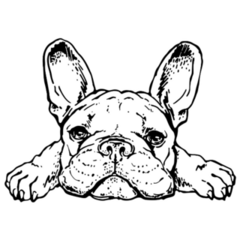 French Bulldog Sketch Sticker