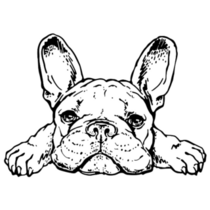 French Bulldog Sketch Sticker