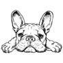 French Bulldog Sketch Sticker
