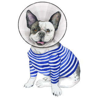 French Bulldog Striped Cone Sticker