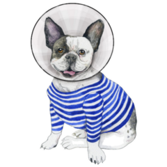 French Bulldog Striped Cone Sticker