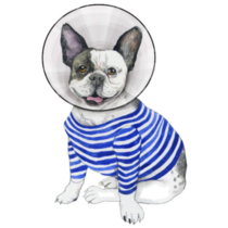 French Bulldog Striped Cone Sticker