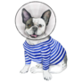 French Bulldog Striped Cone Sticker