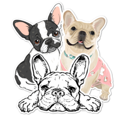 French Bulldog Thumbnail