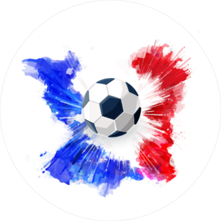 French Soccer Sticker