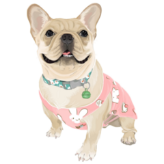 Frenchie In Pink Dress Sticker
