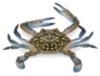 Fresh Crab In Blue Isolated On White Sticker