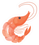 Fresh Prawns Shrimp Illustration Sticker