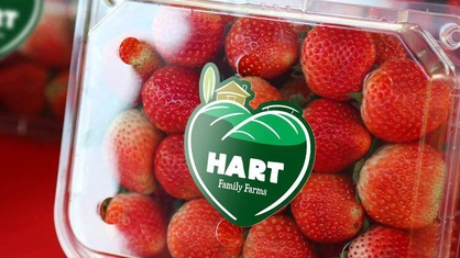 Fresh Produce Logo Sticker