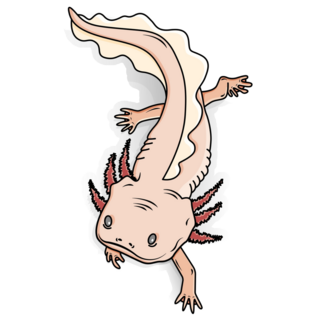 Friendly Cartoon Axolotl Sticker