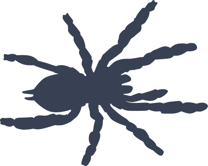 Frightening Spider Sticker