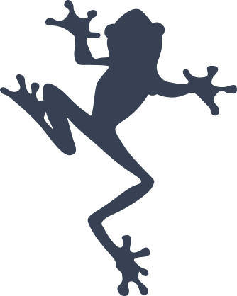 Frog Toad Crawling Sticker