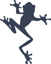 Frog Toad Crawling Sticker