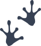 Frog Toad Footprints Sticker