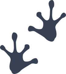 Frog Toad Footprints Sticker