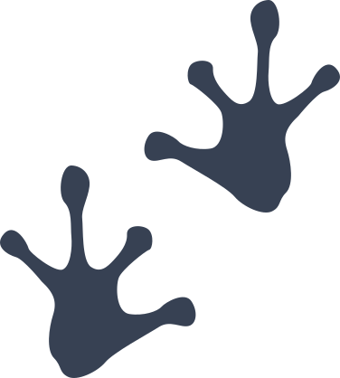 Frog Toad Footprints Sticker