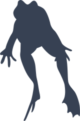 Frog Toad Jumping Sticker