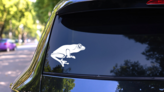Frog Toad With Large Eyes Sticker on a Rear Car Window (New) example