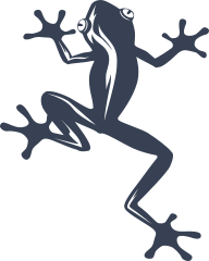 Frog Toad With Stripes Sticker