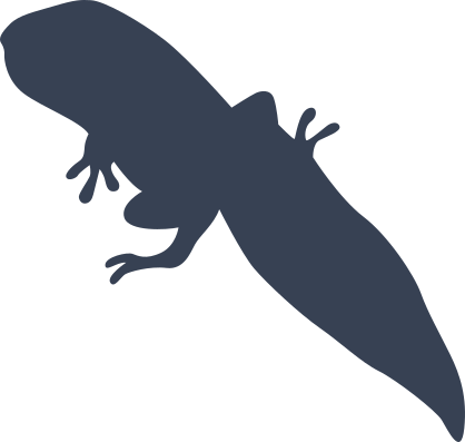 Frog Toad With Tail Sticker