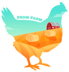 From Farm Illustration In Chicken Sticker