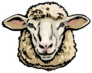 Front View Sketch Style Portrait Sheep Sticker