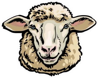 Front View Sketch Style Portrait Sheep Sticker