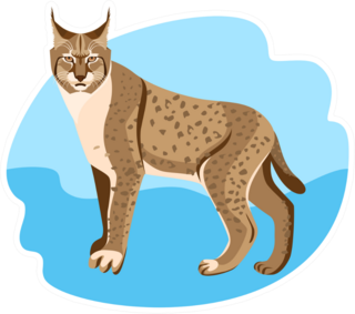 Full Length Spotted Bobcat Sticker