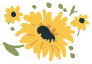 Fun Daisy Flower Sticker